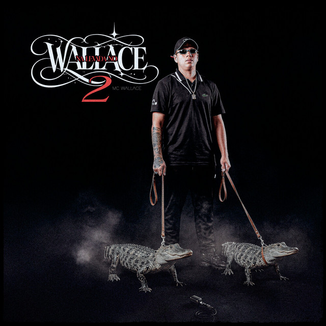 Na Levada Do Wallace 2