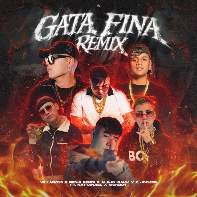 Gata Fina (Remix)