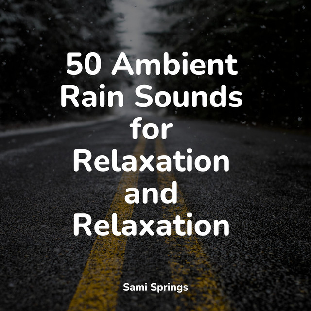 50 Ambient Rain Sounds for Relaxation and Relaxation - Album by Spa ...
