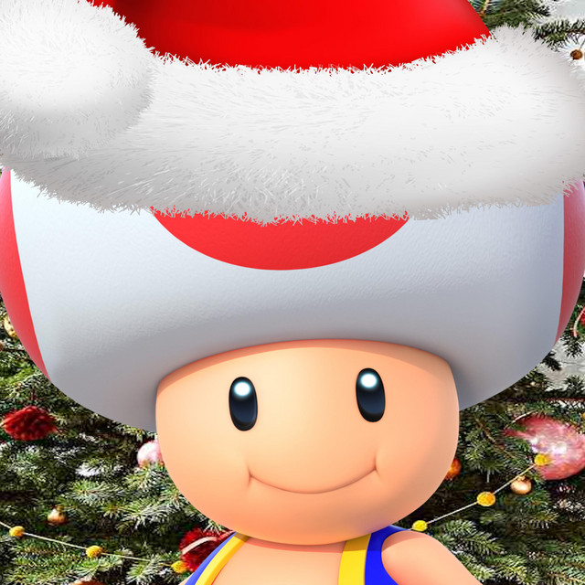 A Toad Christmas cover art
