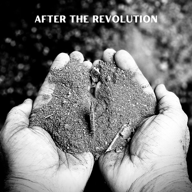 After the Revolution cover