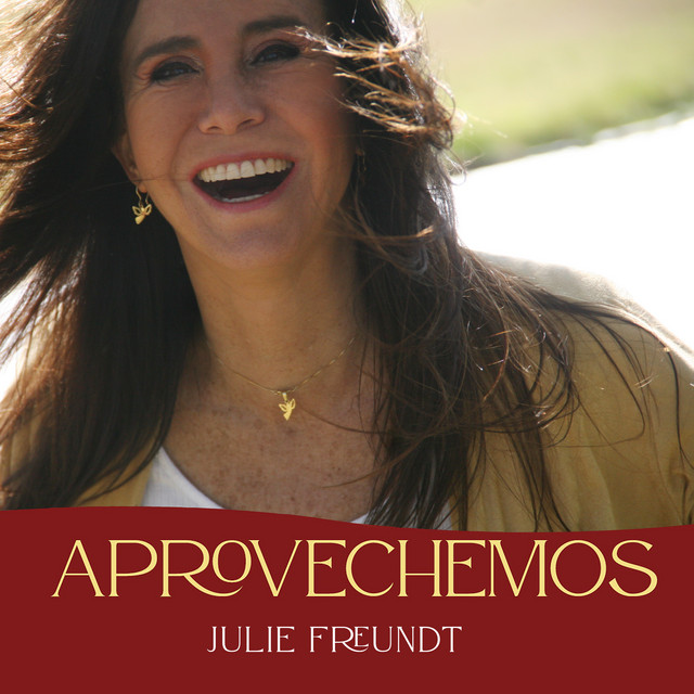 Aprovechemos cover art