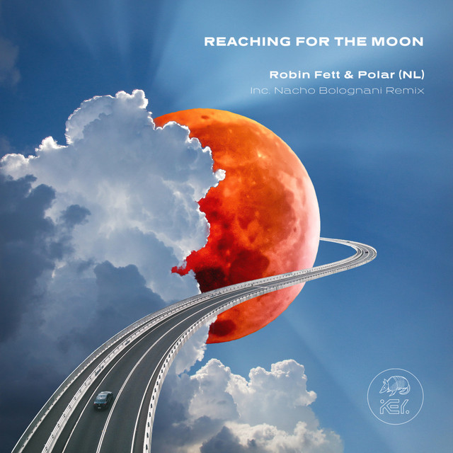 Reaching For The Moon album art