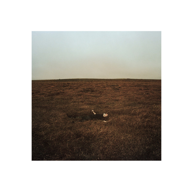 I Buried All The Answers cover art