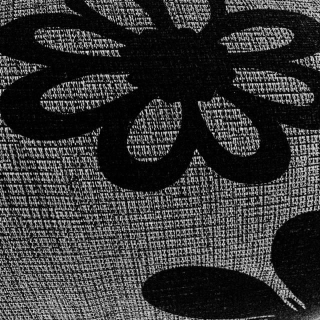 Flor cover art