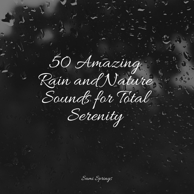 50 Amazing Rain and Nature Sounds for Total Serenity - Album by Natural ...