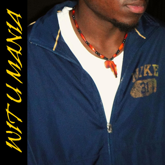 Wit U cover art