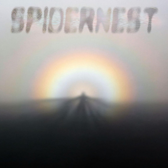 Spidernest