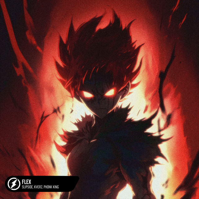 FLEX cover art