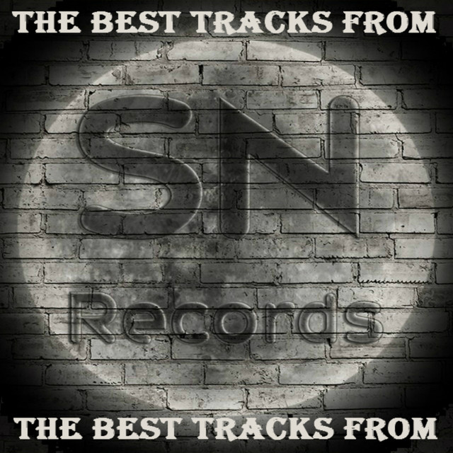 The Best Tracks From SN Records cover art