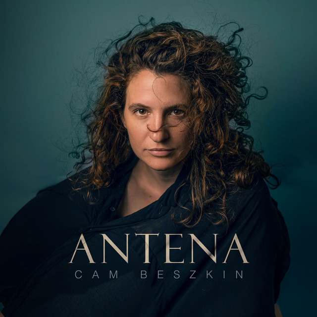 Antena cover art