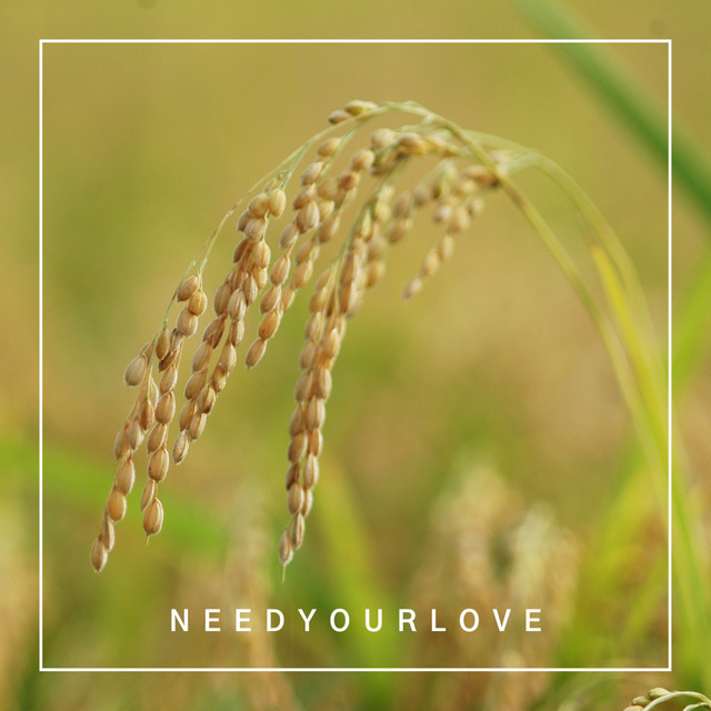 Need Your Love cover art