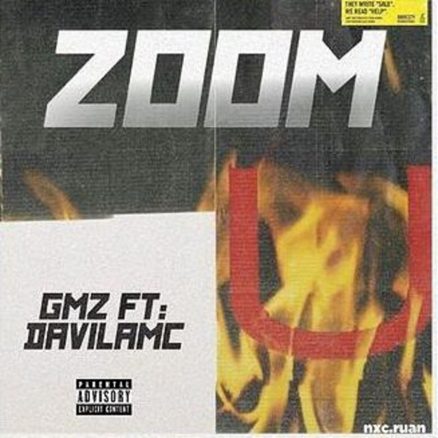 Zoom cover art