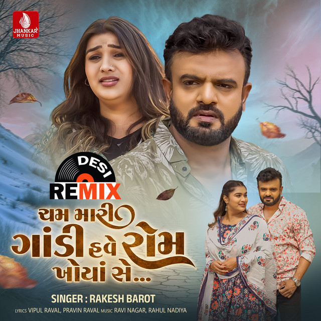 Cham Mari Godi Have Rom Khoya Se (Desi Remix) album image