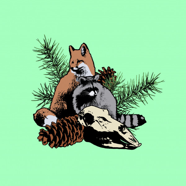Foxgrave x Dasterds Split cover art