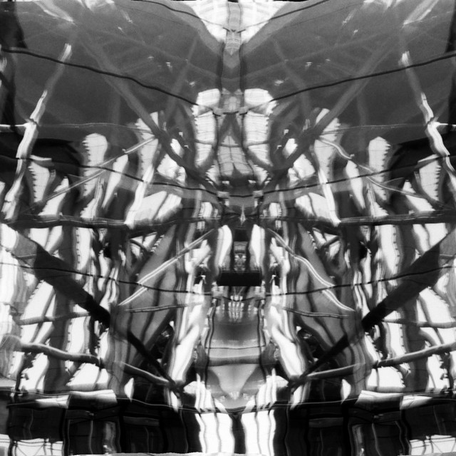 Lattice cover art