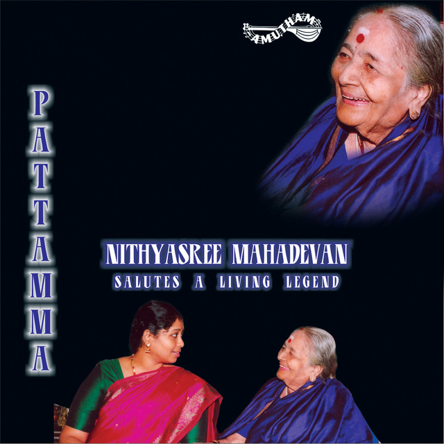 Ninnu Vina - Ritigowlai - Roopakam (Live) cover art