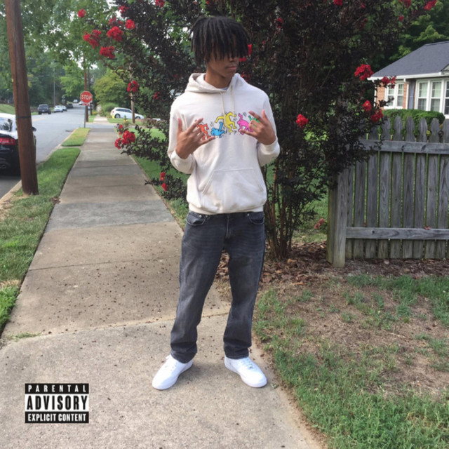 Translucent cover art