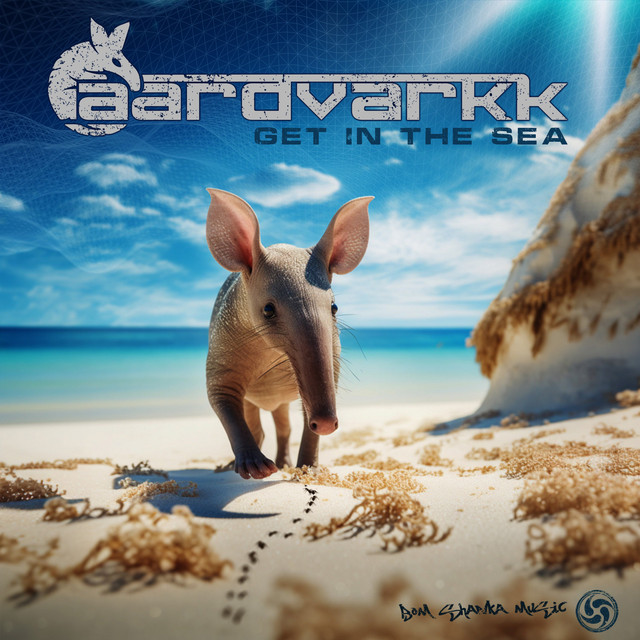 Get In The Sea album art