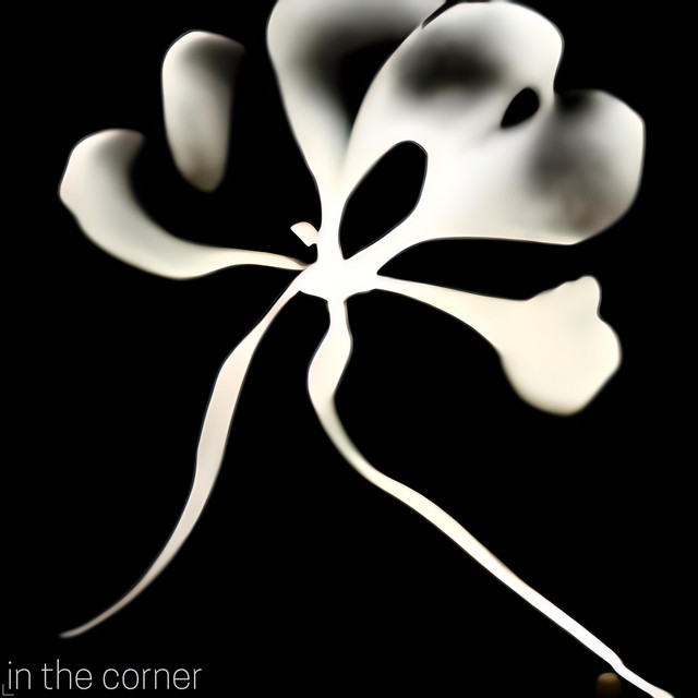 In The Corner cover art