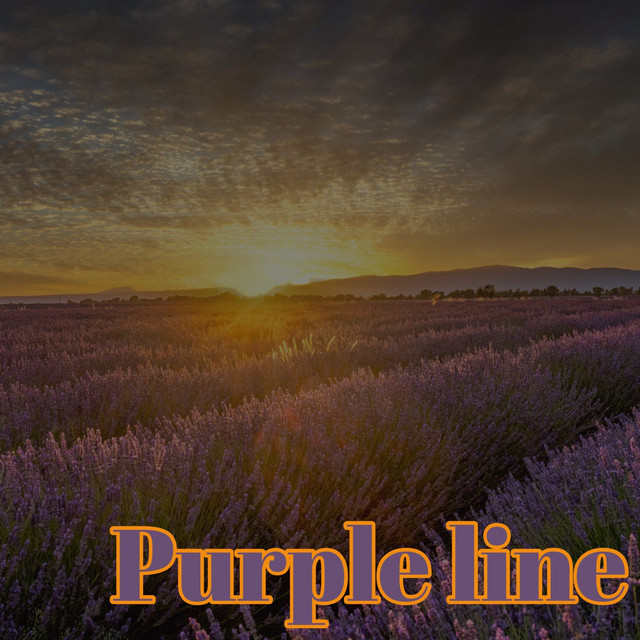 Purple line cover art