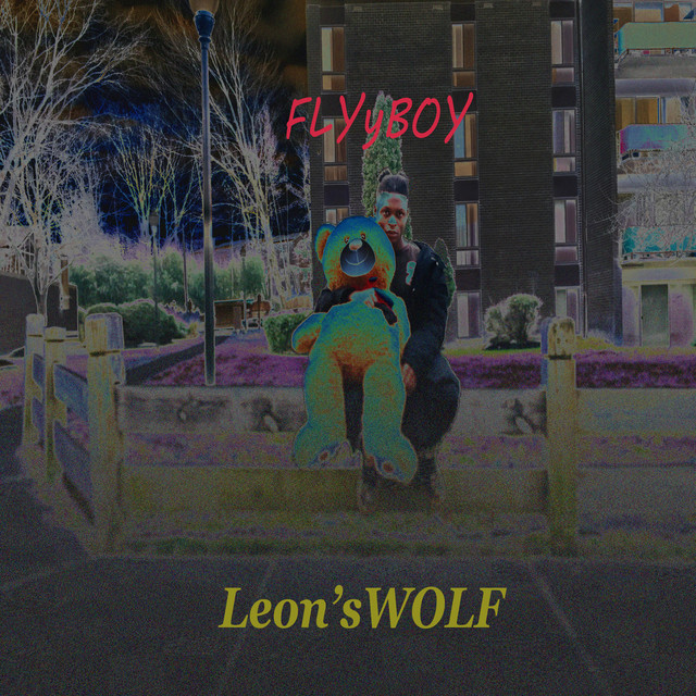 FLYyBOY cover art
