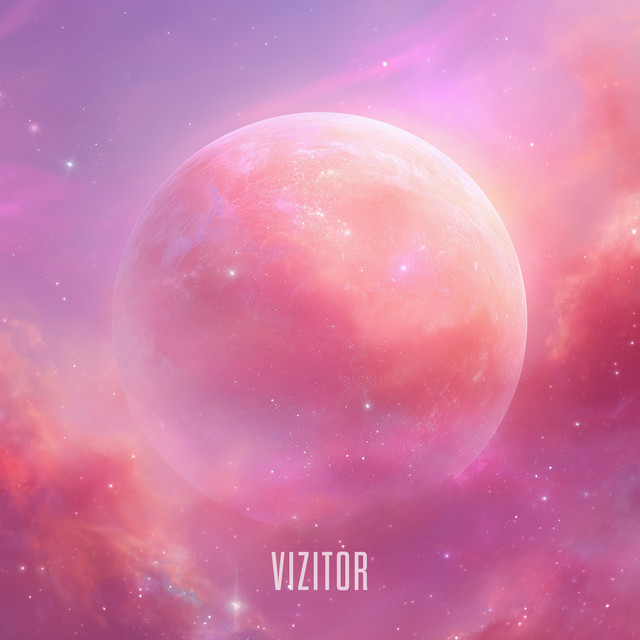 VIZITOR cover art