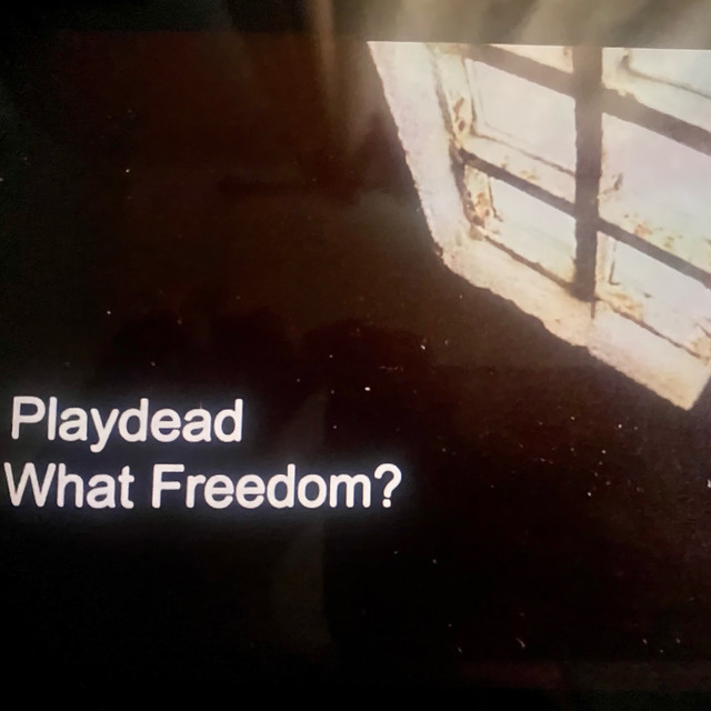 What Freedom ? (Demo) cover art