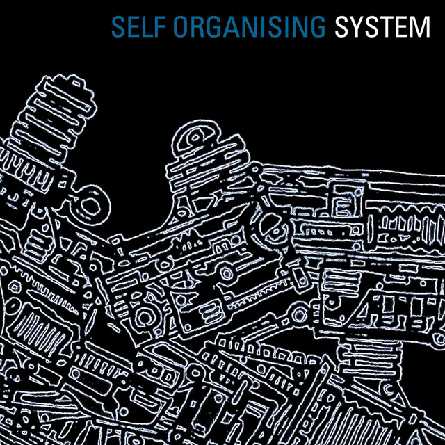 Self Organising System cover art