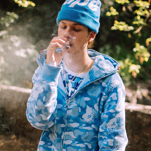 Bape cover art