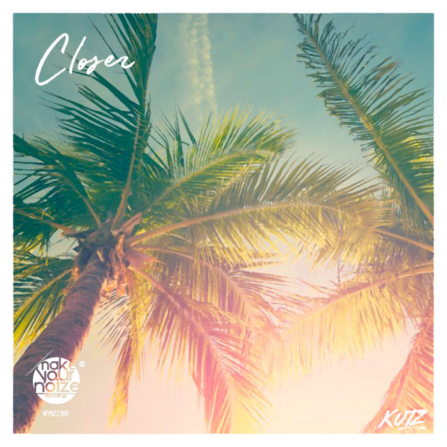 Closer cover