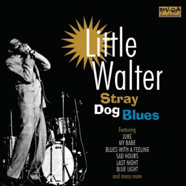Sad Hours - song and lyrics by Little Walter | Spotify
