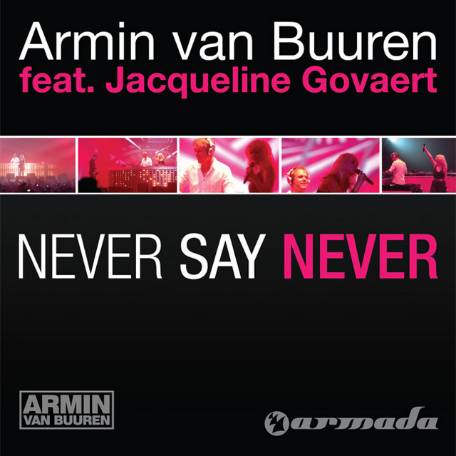 Never Say Never cover art