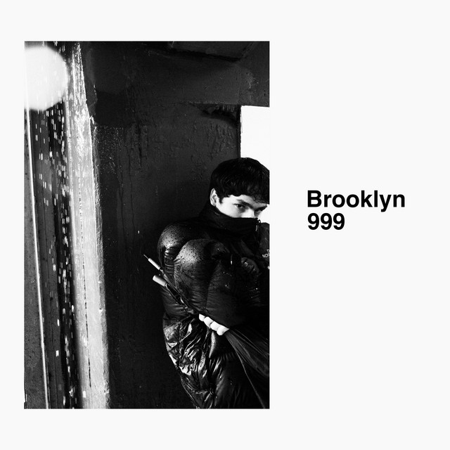 Brooklyn 999 cover art