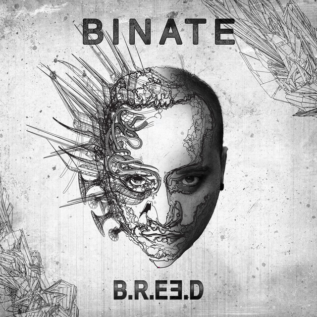 Binate cover art