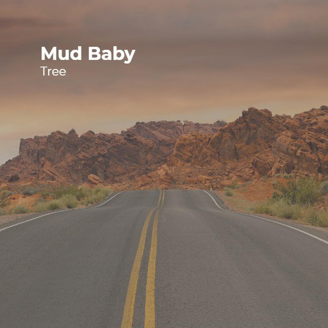 Mud Baby cover art