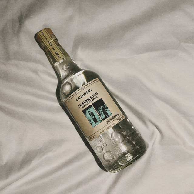 undefined album image
