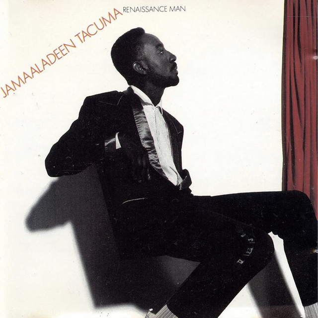 Renaissance Man cover art