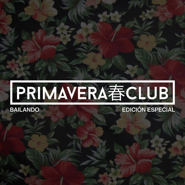 Bailando cover art