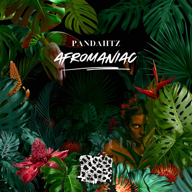 AFROMANIAC (DJ MIX) - Album by Pandahtz | Spotify