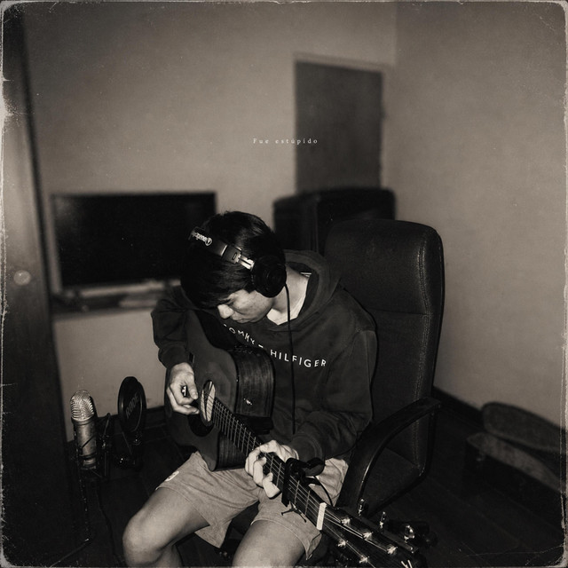 FUE ESTUPIDO cover art
