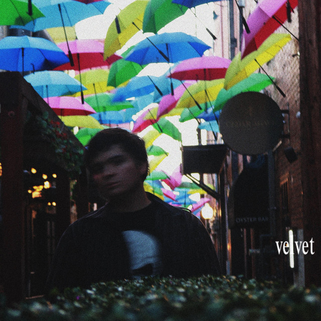 velvet cover art