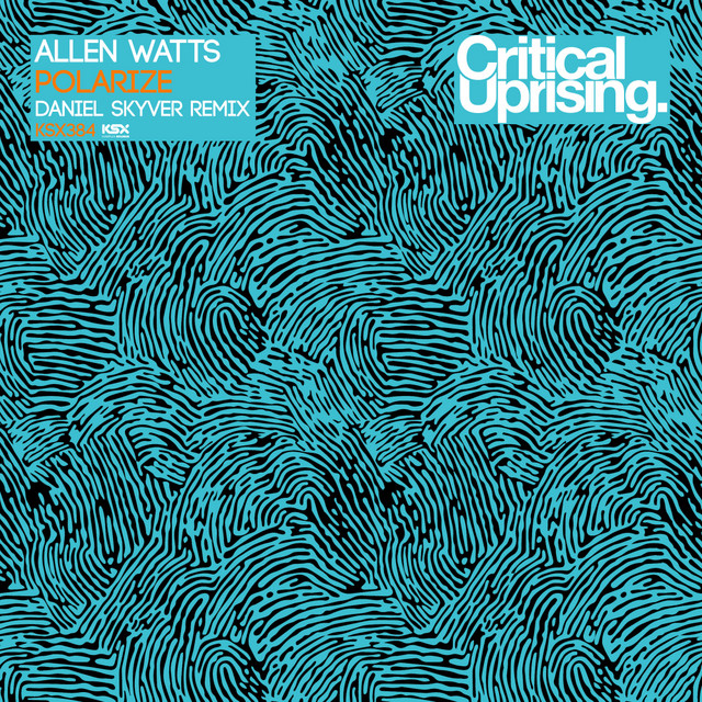 Polarize - Daniel Skyver Remix album art