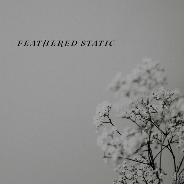 Feathered Static by Cove De Tranquilo