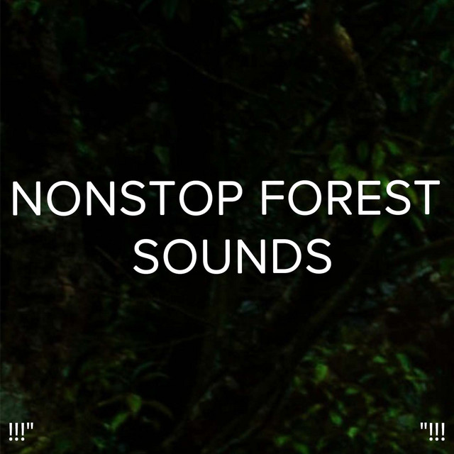 !!!" Nonstop Forest Sounds "!!! cover art