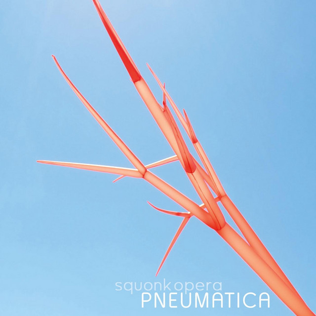 Pneumatica cover