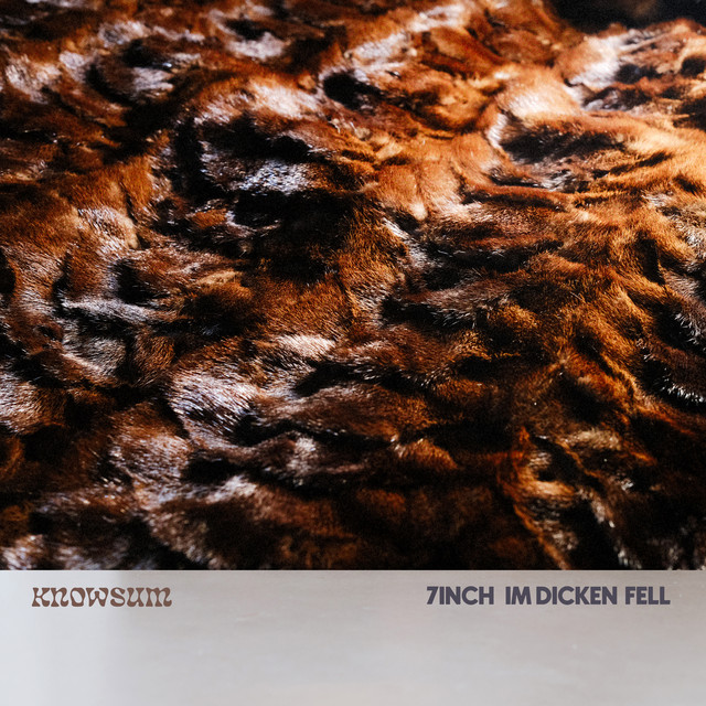 7inch Im Dicken Fell cover art