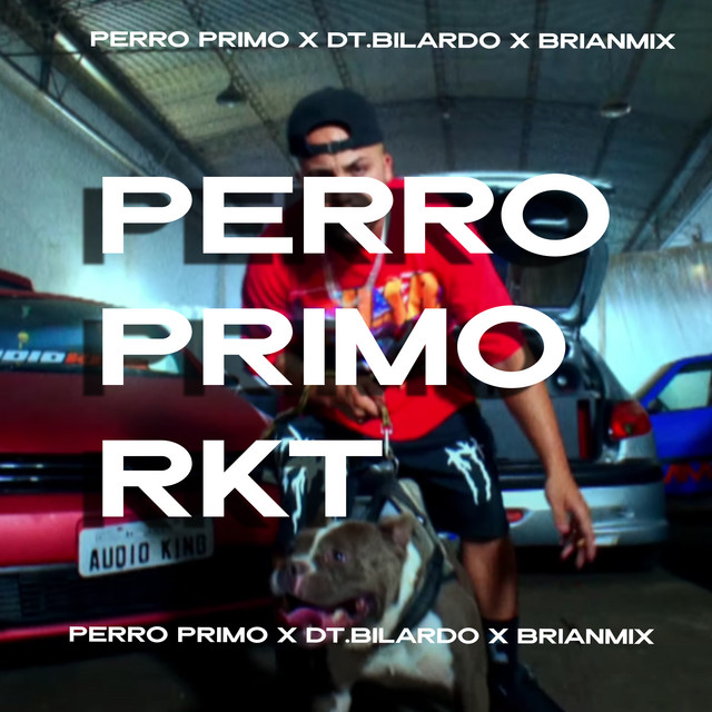 Perro Primo Rkt