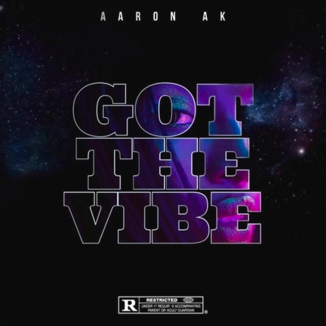 Got the Vibe