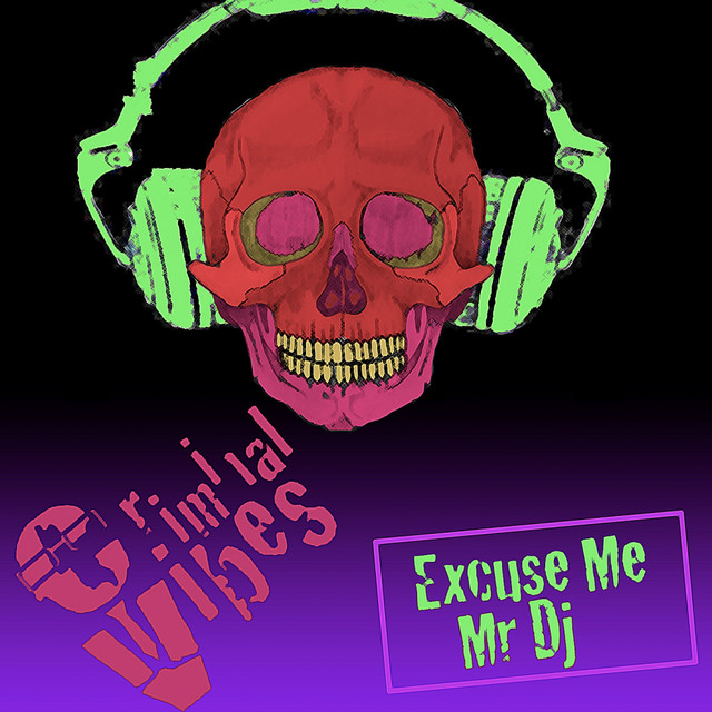 Excuse Me Mr. DJ